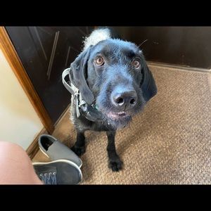 Meet your Posher, Zach